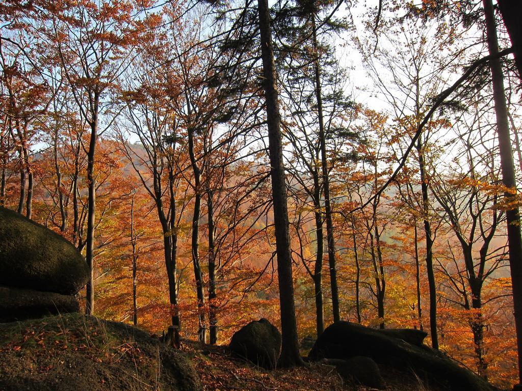 Penzion Bazalka Jablonec nad Nisou Extérieur photo